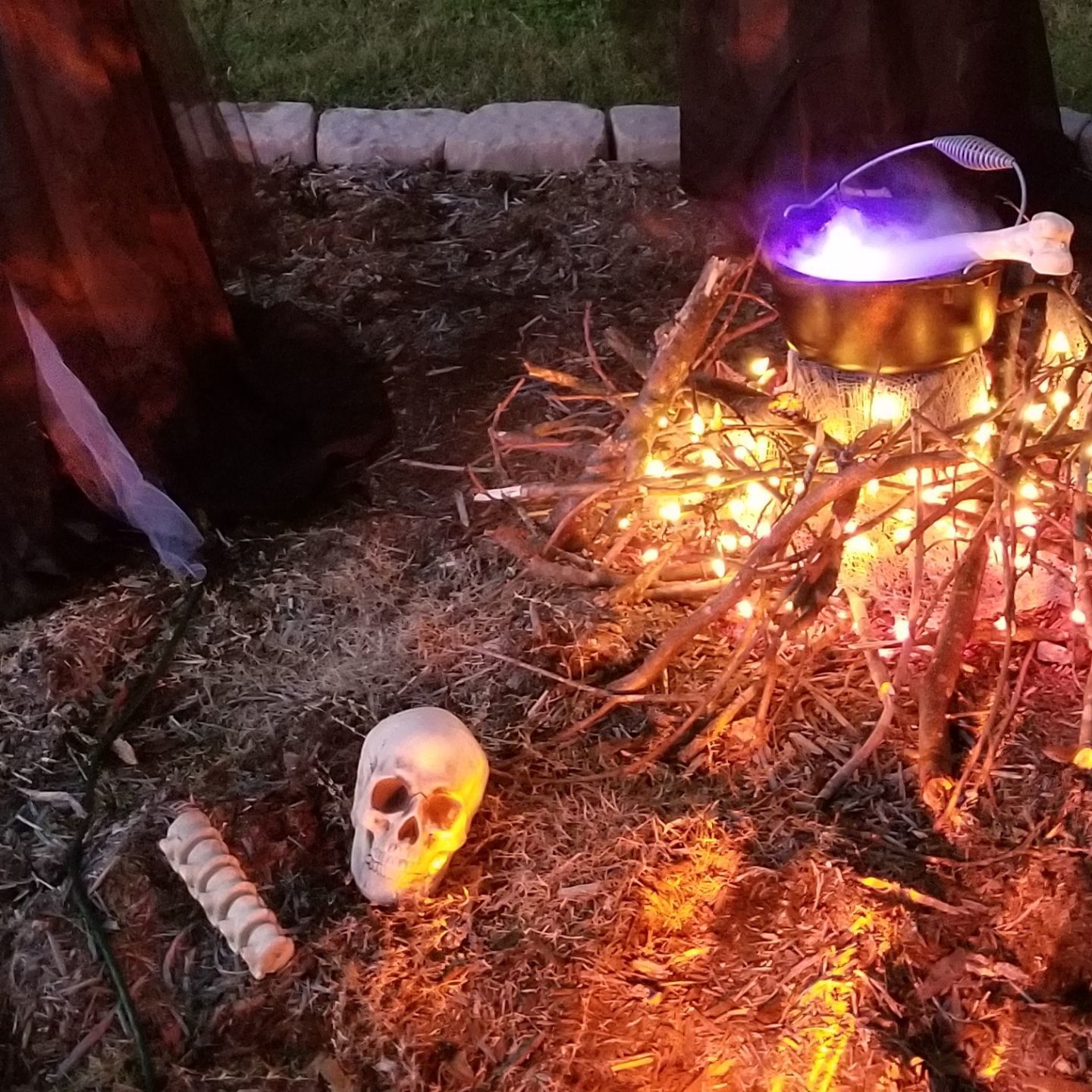 Bone broth